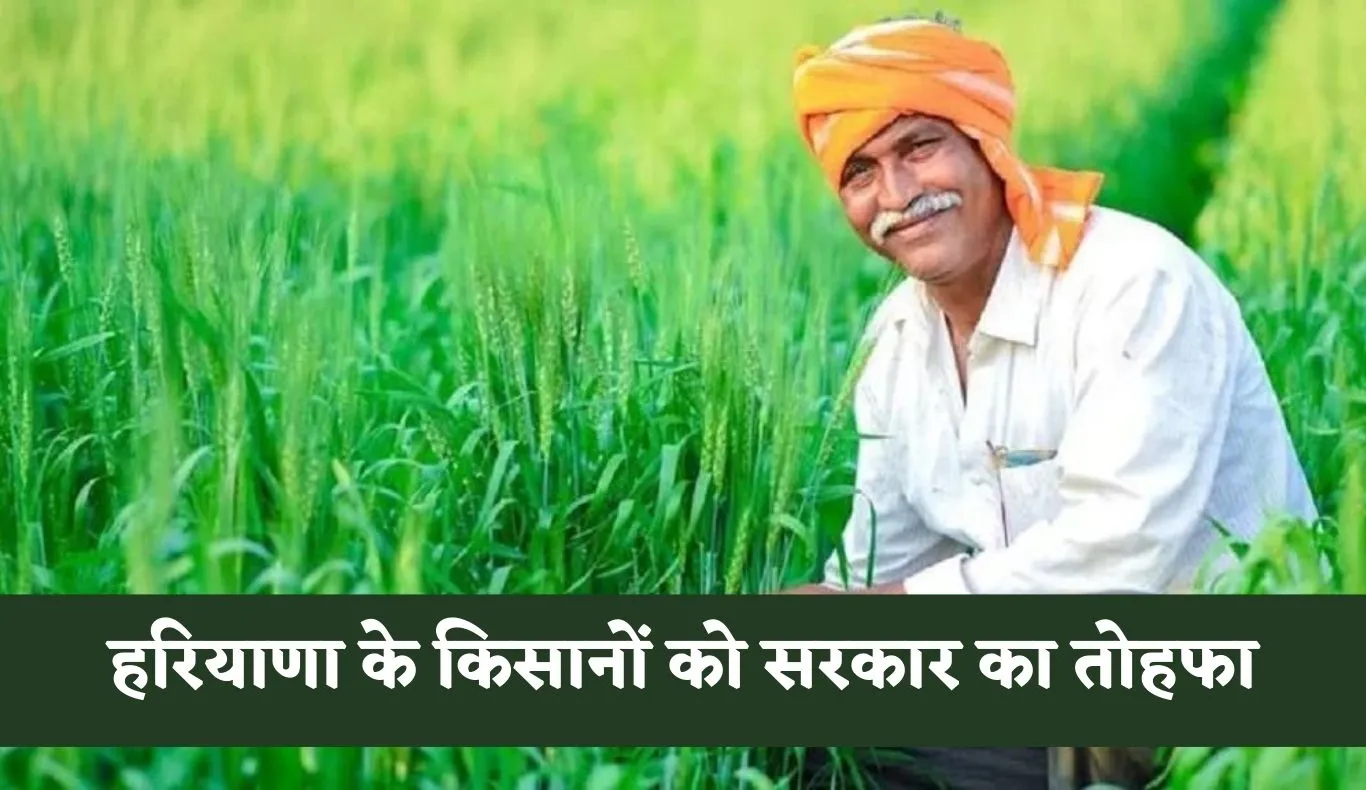 Haryana: हरियाणा के किसानों को सरकार का तोहफा, कृषि उपकरणों पर GST में बड़ी राहत