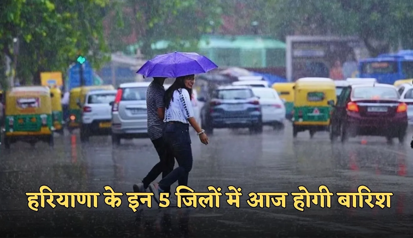 Haryana: हरियाणा के इन 5 जिलों में आज होगी बारिश, देखें मौसम की पूरी जानकारी 