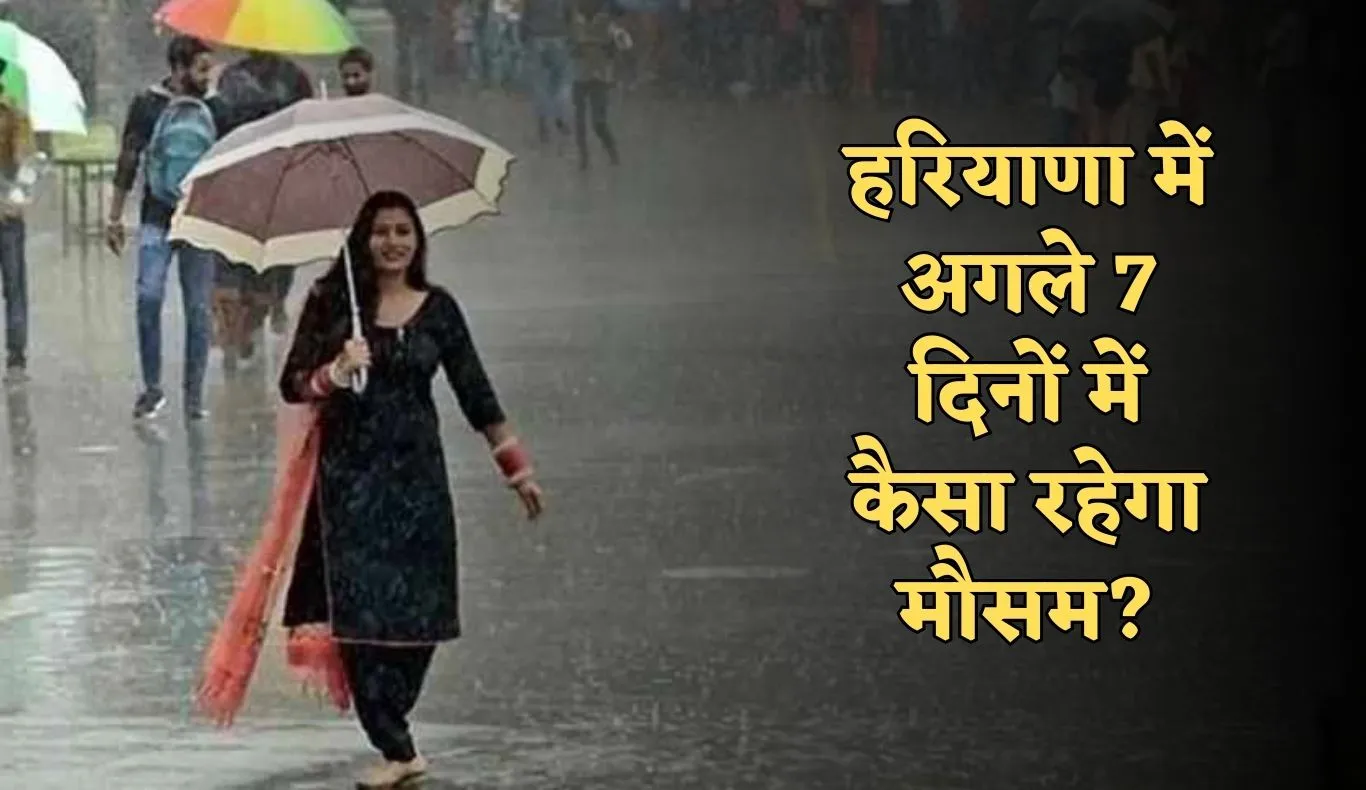 Haryana Weather: हरियाणा में अगले 7 दिनों में कैसा रहेगा मौसम? देखें पूर्वानुमान 