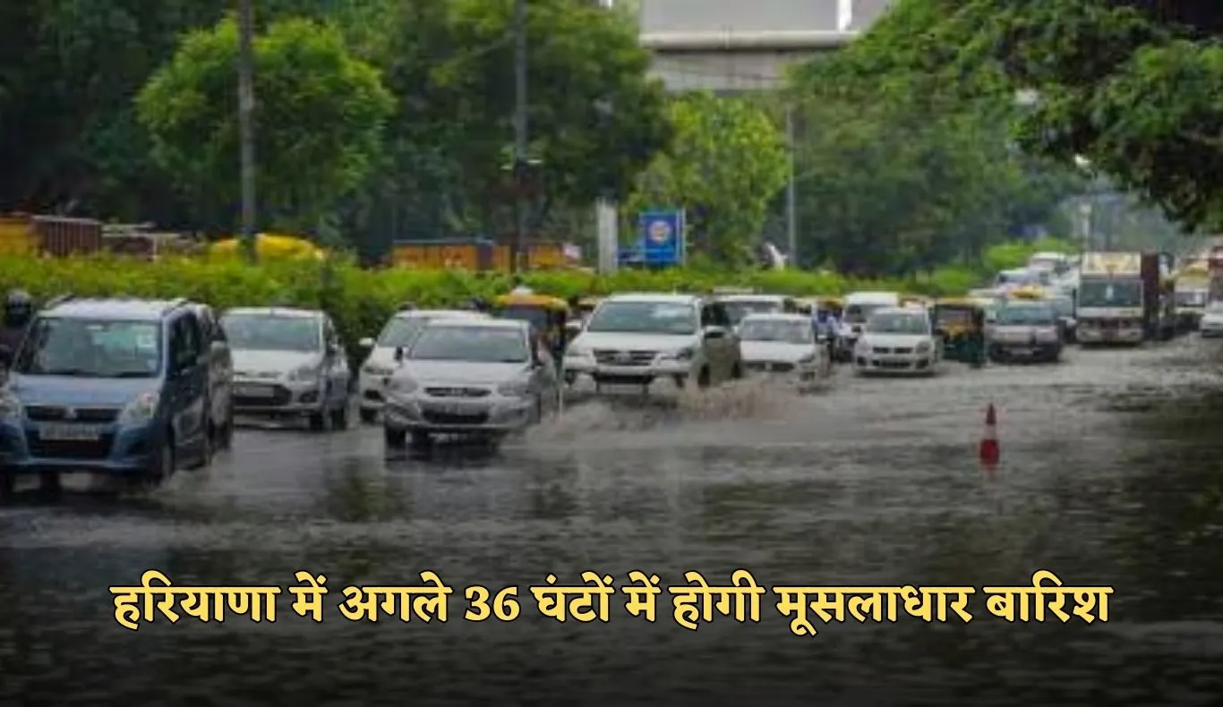 Haryana: हरियाणा में अगले 36 घंटों में होगी मूसलाधार बारिश, विभाग ने जारी की चेतावनी 