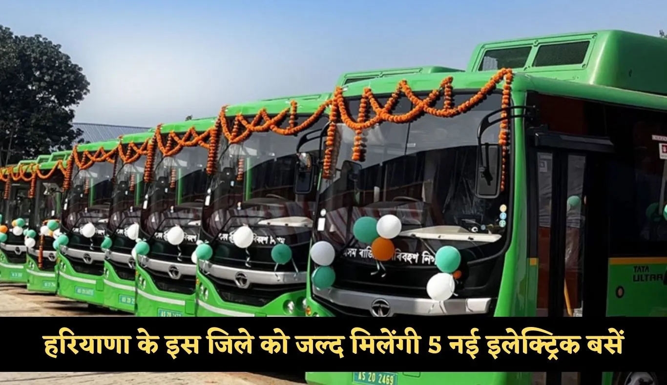 haryana weather  (1)