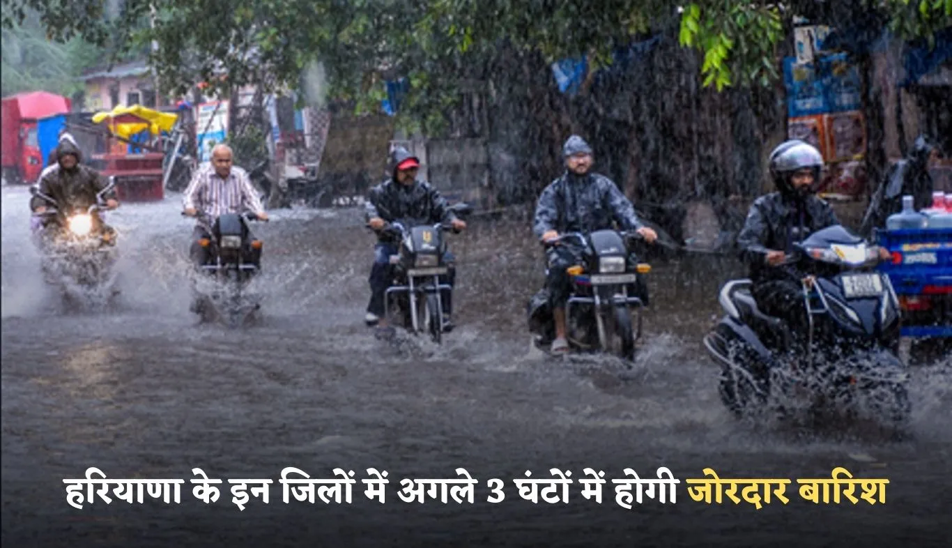 Haryana Weather: हरियाणा के इन जिलों में अगले 3 घंटों में होगी जोरदार बारिश, अलर्ट हुआ जारी 