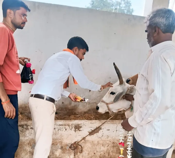 गोपाष्टमी के तहत गौशाला में किया गया गौ माता का पूजन 