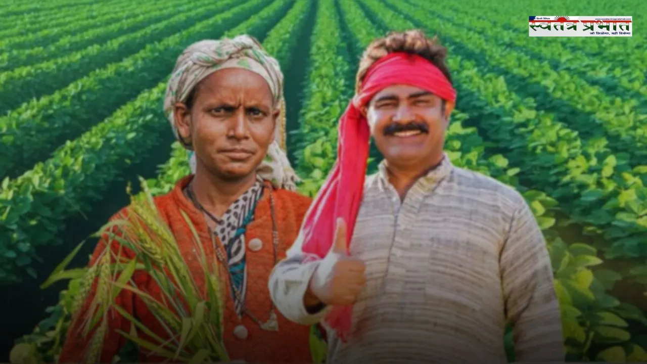 Mandi Bhav: नरमा-धान समेत सभी फसलों के ताजा भाव, देखें सिरसा मंडी के नए रेट 