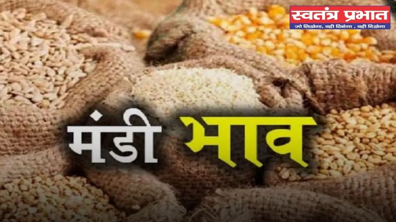 Mandi Bhav: नरमा-धान समेत सभी फसलों के ताजा भाव जारी, देखें आज के नए रेट 