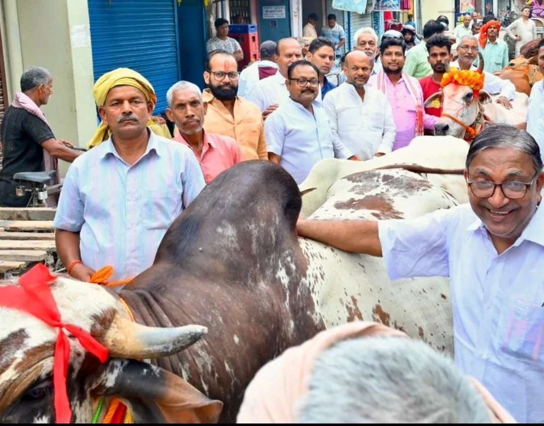 Screenshot_2025-10-29-21-03-25-279_com.whatsapp-edit