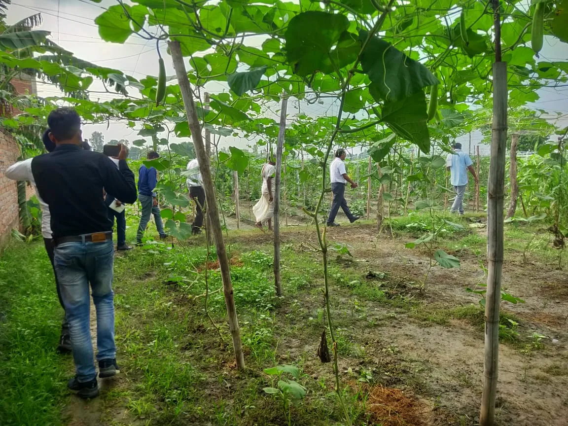 डीएम एवं सीडीओ के मार्गदर्शन में अमेठी के किसानों ने की नवाचार खेती की मिसाल पेश