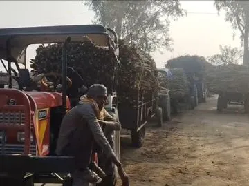 गन्ना सीजन में गोला-कुकरा मार्ग बंद करने का विरोध