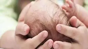 कानपुर के हनुमंत विहार थाना क्षेत्र में नवजात को मुंह में दबाकर ले आया डॉग,