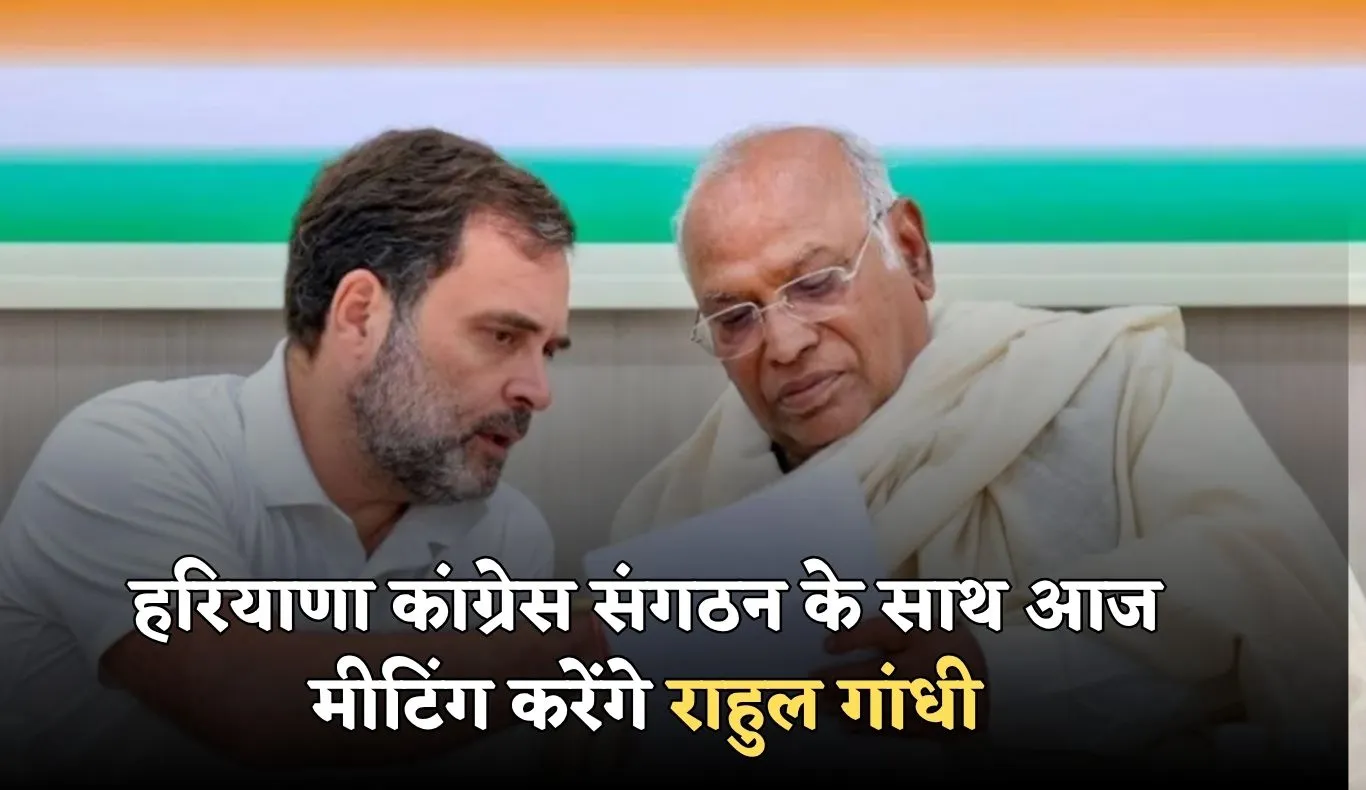 Haryana: हरियाणा कांग्रेस संगठन के साथ आज मीटिंग करेंगे राहुल गांधी, वोट चोरी के मुद्दे को बनाएंगे केंद्र