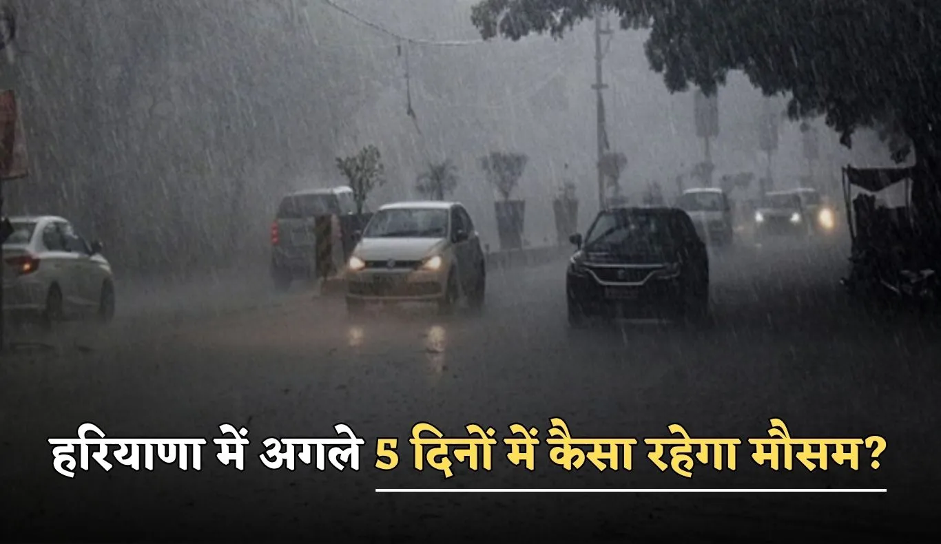 Haryana Weather: हरियाणा में अगले 5 दिनों में कैसा रहेगा मौसम? देखें पूर्वानुमान 