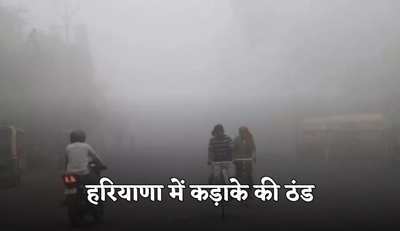 Haryana Weather: हरियाणा में कड़ाके की ठंड, मौसम विभाग ने ये अलर्ट किया जारी 