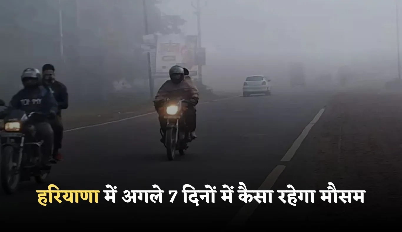 Haryana Weather: हरियाणा में अगले 7 दिनों में कैसा रहेगा मौसम, देखें पूरी वेदर रिपोर्ट 