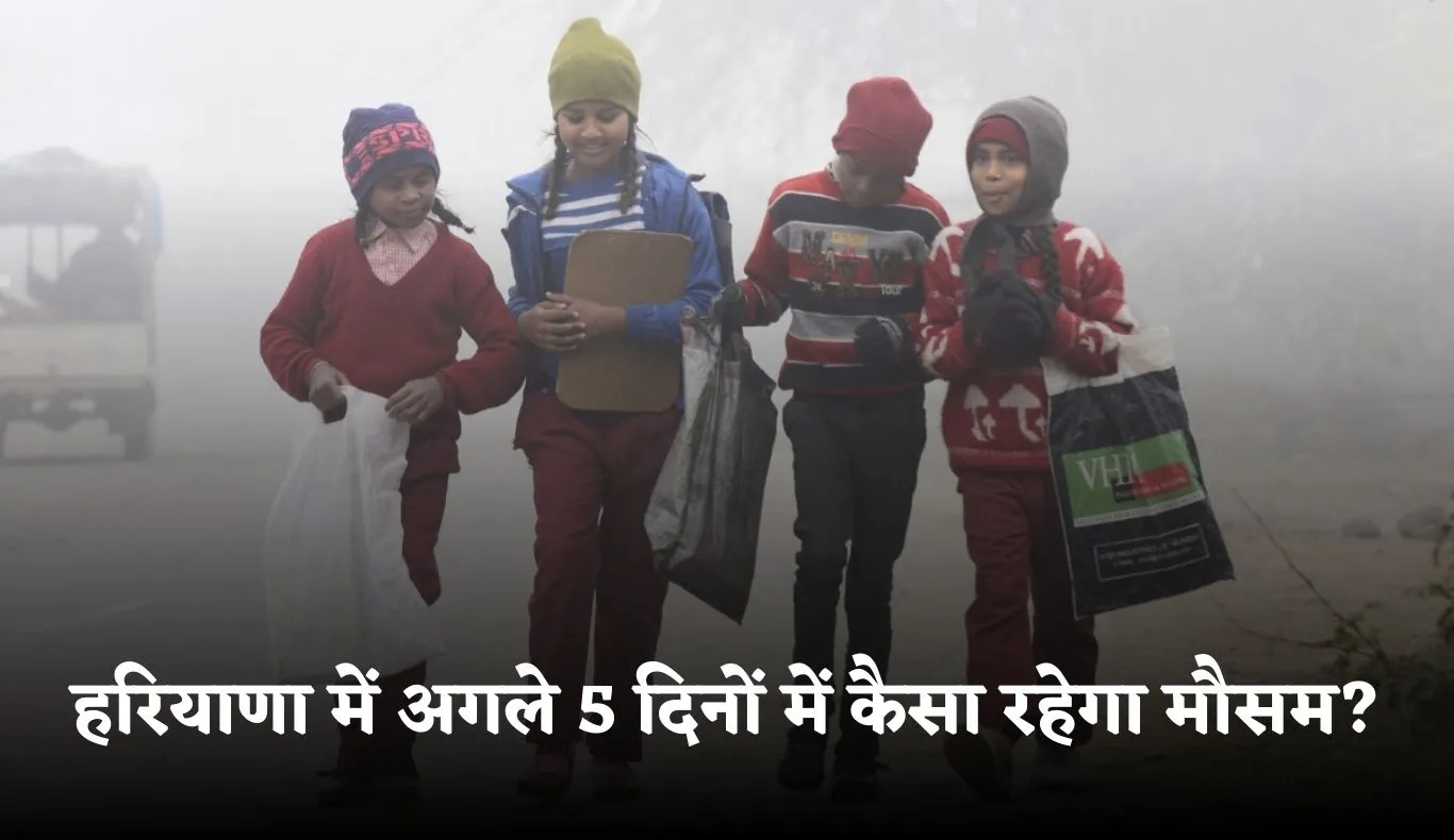 Haryana Weather: हरियाणा में अगले 5 दिनों में कैसा रहेगा मौसम? देखें पूर्वानुमान 