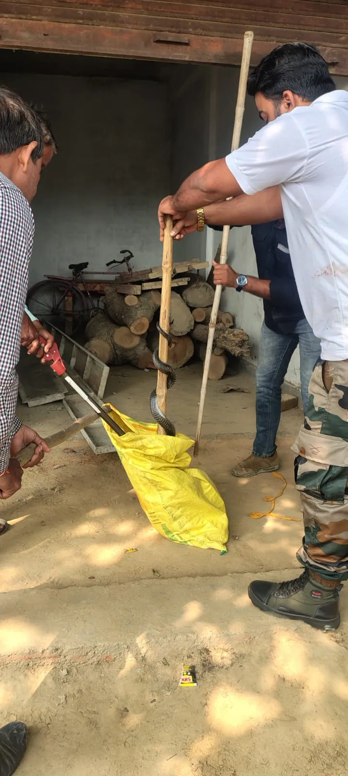 वन विभाग की टीम में दो सांपों को किया रेस्क्यू सुरक्षित जंगल में छोड़ा