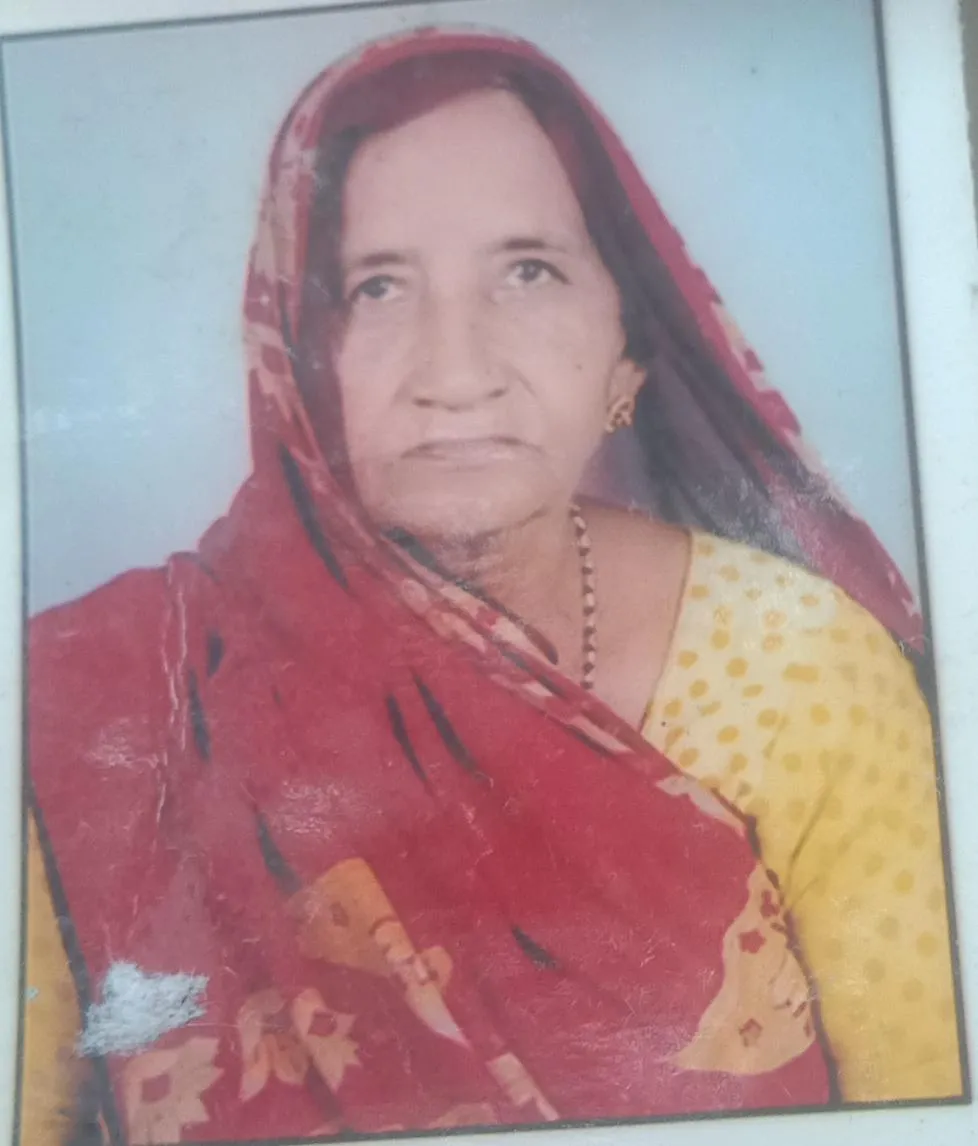 ट्रक की चपेट में आई बुजुर्ग महिला, मौत 