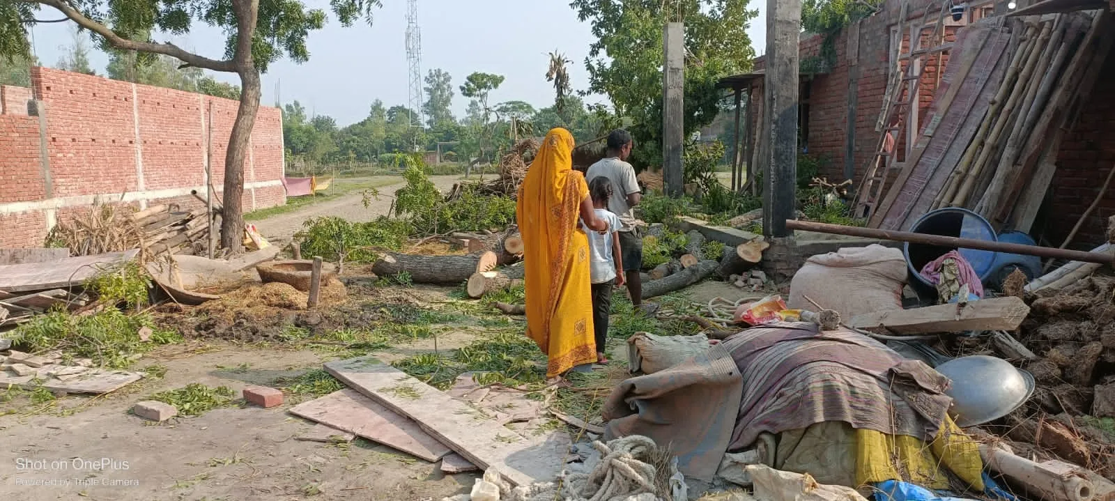 आराजी डूही धरमूपुर मुस्तहकम में बिना परमिट नीम के पेड़ की हुई कटान