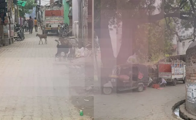 बस्ती शहर में धड़ल्ले से आ रहा प्रतिबन्धित मांस, जानकारी के बावजूद कोतवाली पुलिस निष्क्रिय