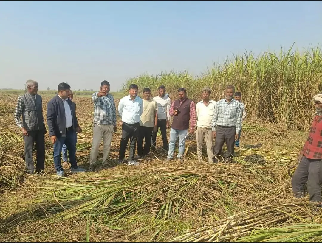 पराली जलाने पर किसानों पर 5 हज़ार का लगा जुर्माना, सैटेलाइट से पुष्टि, कृषि विभाग ने की कार्रवाई