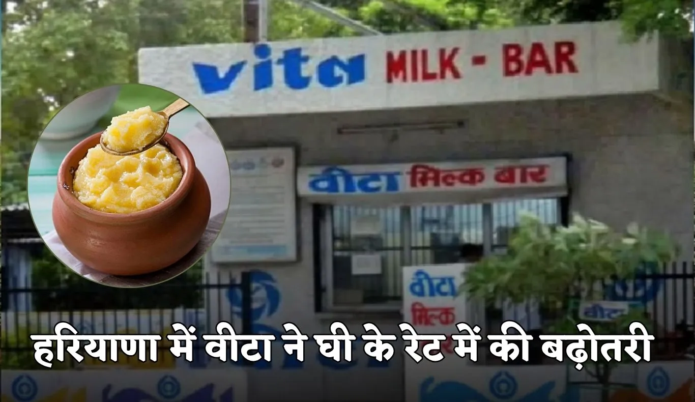 Haryana: हरियाणा में वीटा ने घी के रेट में की बढ़ोतरी, जानें कितने बढ़ गए दाम 