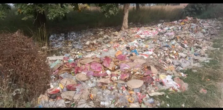 भरसी मोड़ पर सड़क किनारे गड्ढे में गिर रहा कचरा बना खतरा, दुर्गंध से परेशान लोग – जलजनित बीमारियों का बढ़ा जोखिम