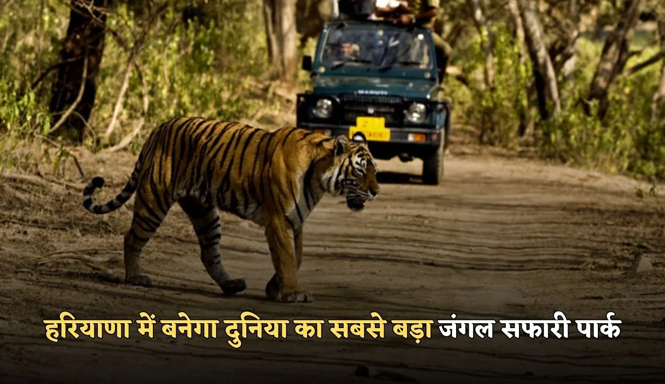 Haryana: हरियाणा में बनेगा दुनिया का सबसे बड़ा जंगल सफारी पार्क, 10 हजार एकड़ में तैयार होगा मेगा प्रोजेक्ट