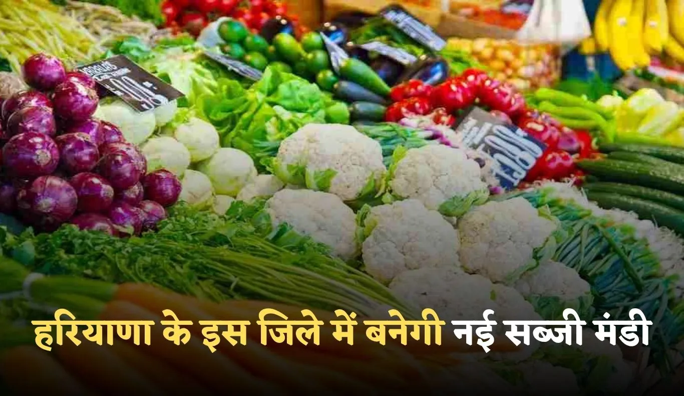 Haryana: हरियाणा के इस जिले में बनेगी नई सब्जी मंडी, 11 एकड़ में होगा निर्माण 
