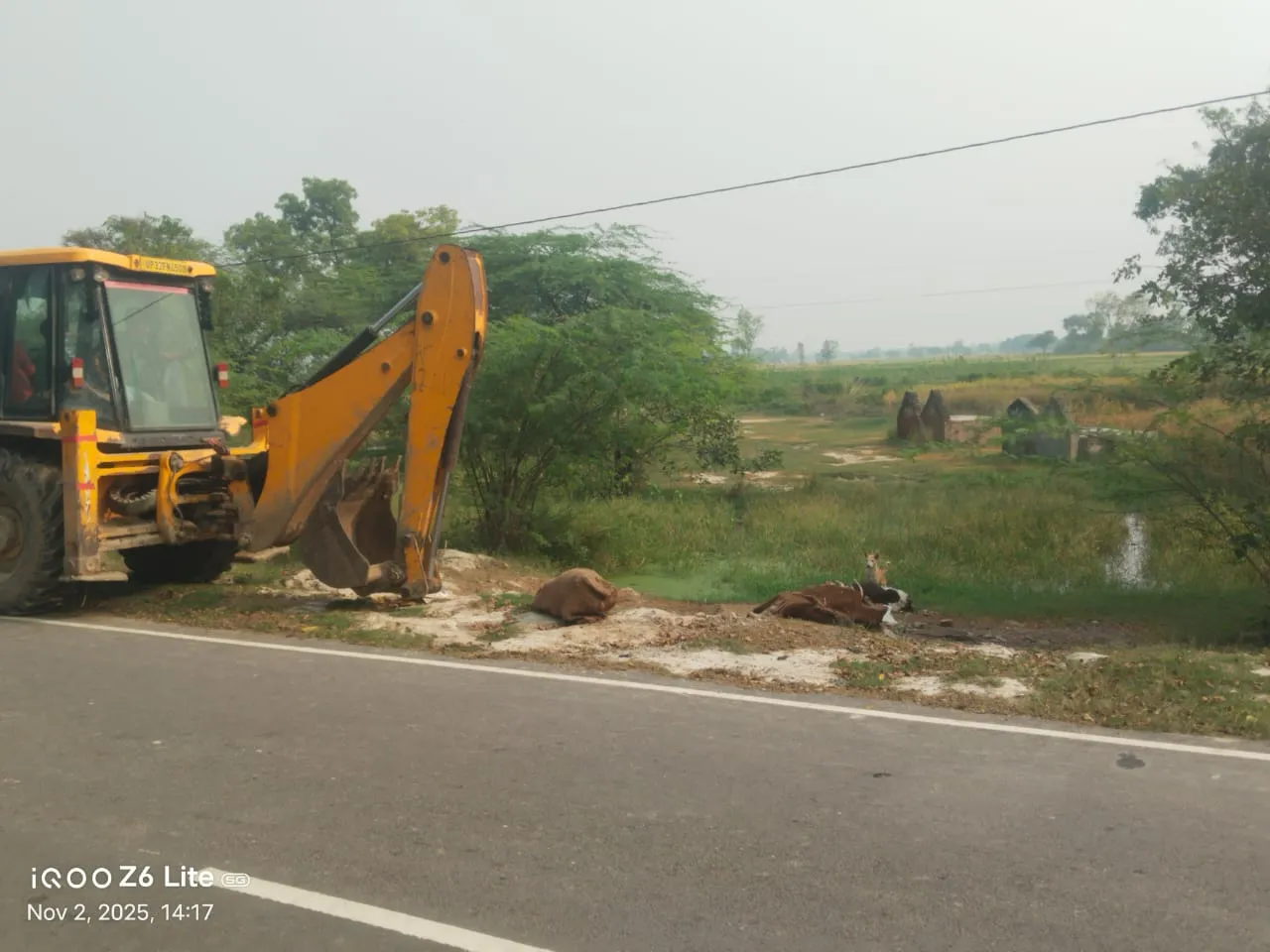 मृत पड़े गौवंशों के शवों की दुर्गंध से परेशान आसपास के लोग प्रशासन ने जेसीबी से गड्ढे खुदवाकर किया डिस्पोज