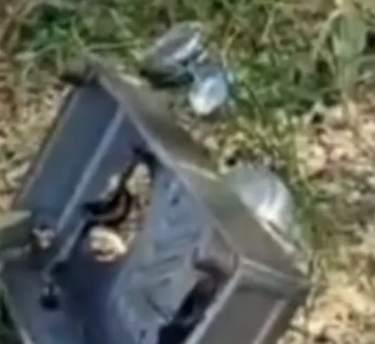 महाराज पुर क्षेत्र में एक बुजुर्ग महिला के घर में की तोड़ फोड़