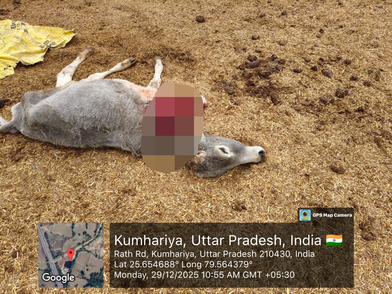 गौशाला में लापरवाही पर जिला विकास अधिकारी का कड़ा एक्शन, सचिव दीपक कुमार निलंबित