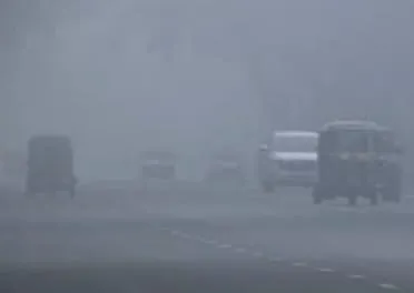 गलन और कोहरे ने बढ़ाई ठिठुरन, दृश्यता शून्य, वाहन रेंगते नजर आए