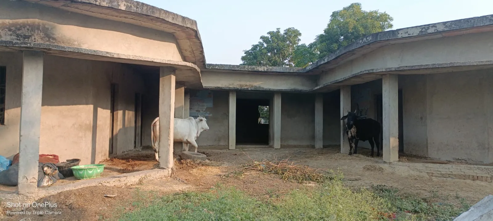 पंचायत भवन निमार्ण कार्य अधूरा जांच की मांग