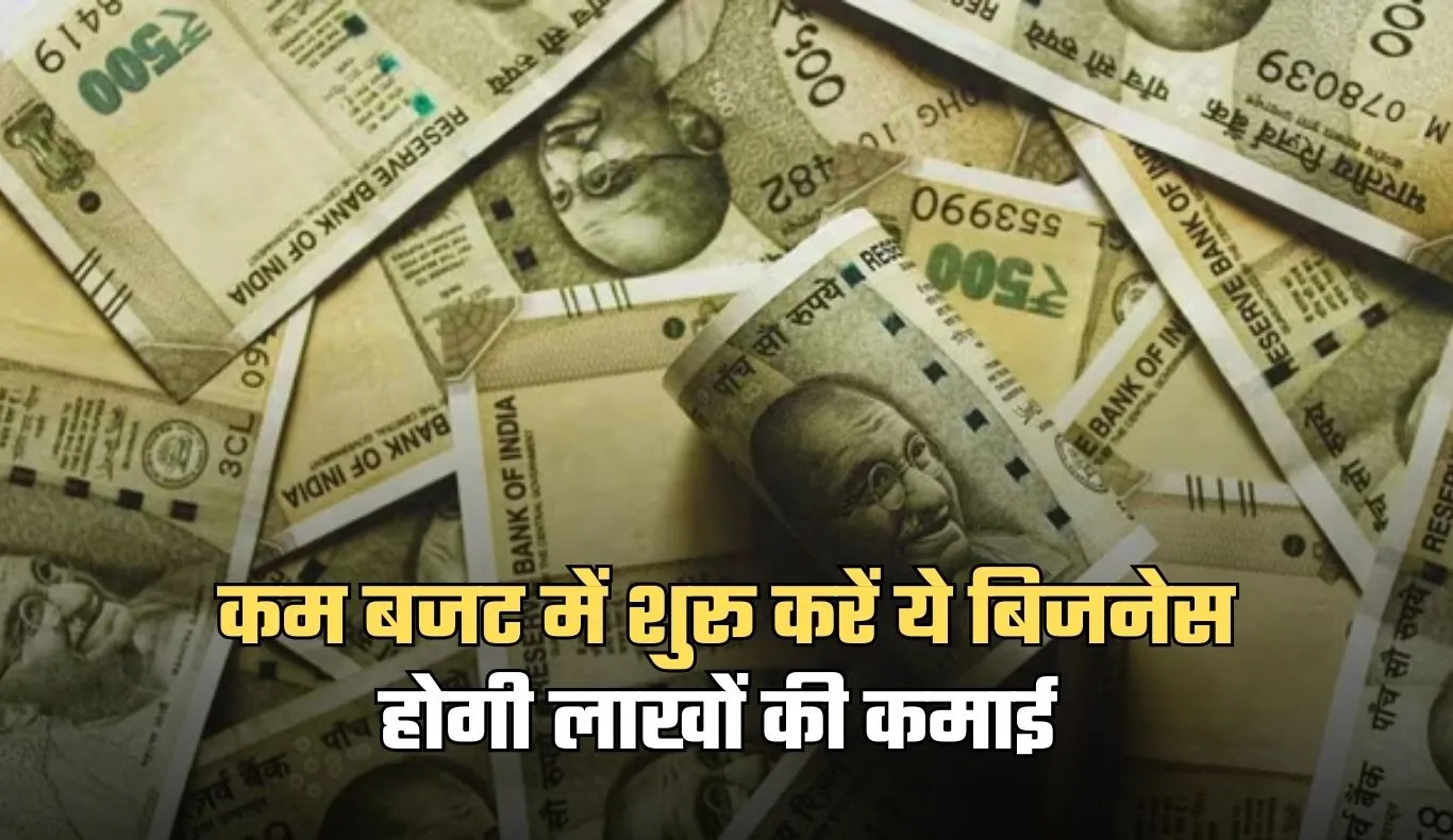 Business Idea: कम बजट में शुरू करें ये बिजनेस, होगी लाखों की कमाई 