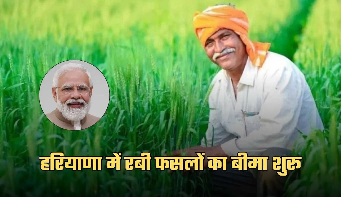 Fasal Bima Yojana: हरियाणा में रबी फसलों का बीमा शुरू, 31 दिसंबर तक करा सकेंगे आवेदन