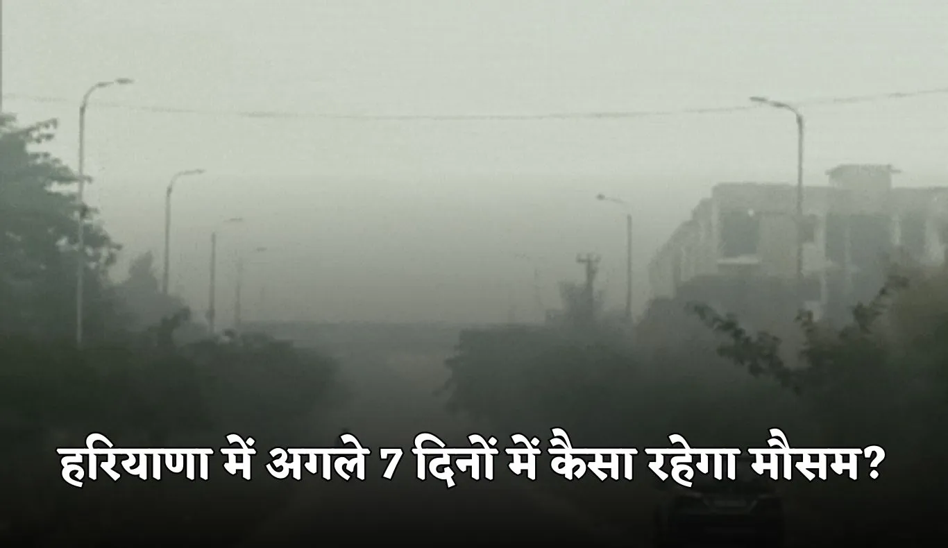 Haryana Weather: हरियाणा में अगले 7 दिनों में कैसा रहेगा मौसम? देखें पूरी वेदर रिपोर्ट 