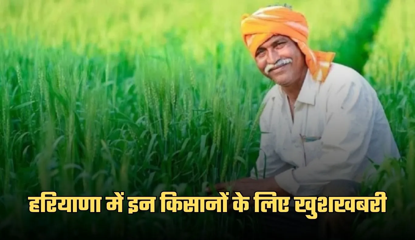 Haryana: हरियाणा में इन किसानों के लिए खुशखबरी, सरकार ने जारी किए 380 करोड़ रुपये 