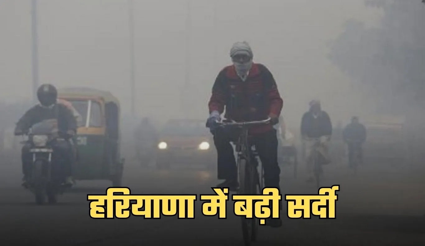Haryana Weather: हरियाणा में बढ़ी सर्दी, 11 जिलों में शीतलहर का अलर्ट जारी