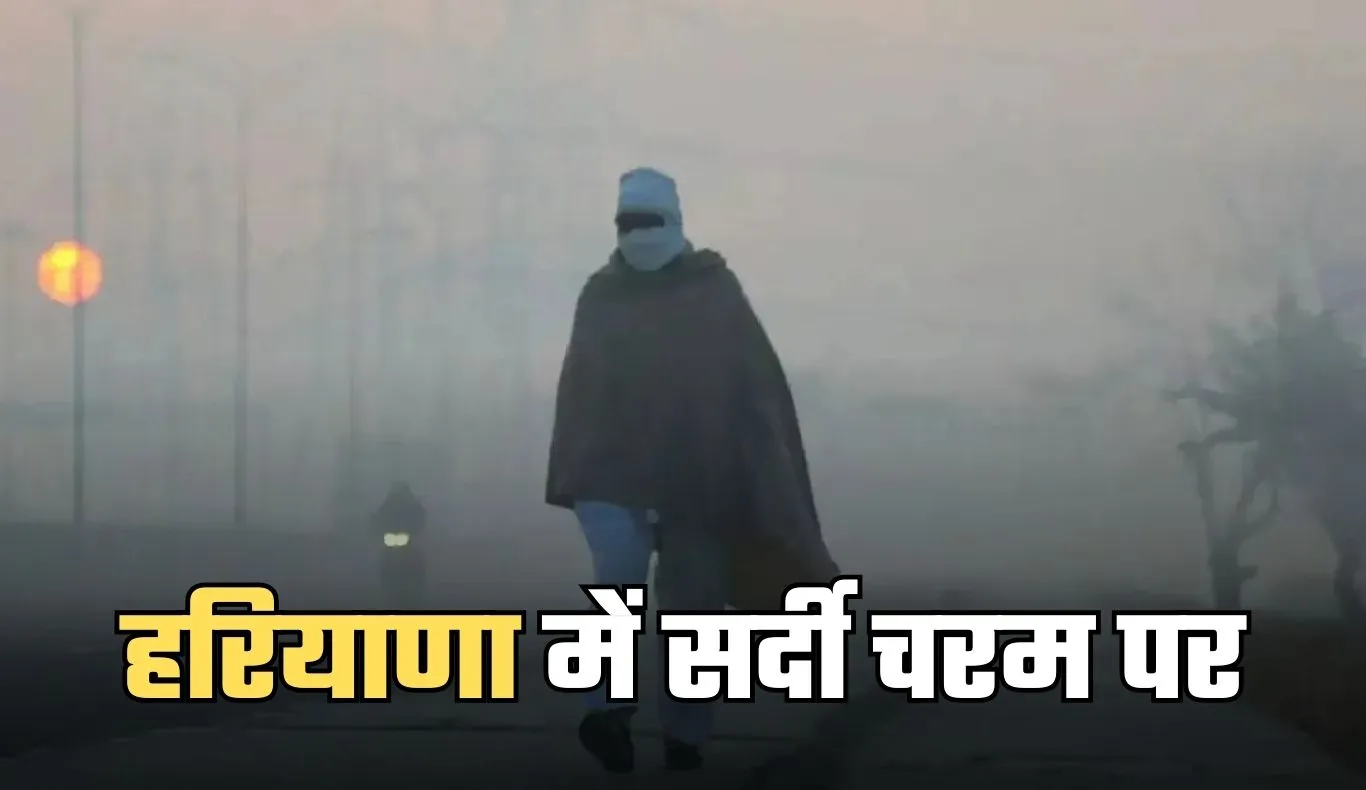 Haryana Weather: हरियाणा में सर्दी चरम पर, तापमान सामान्य से 3.4°C नीचे