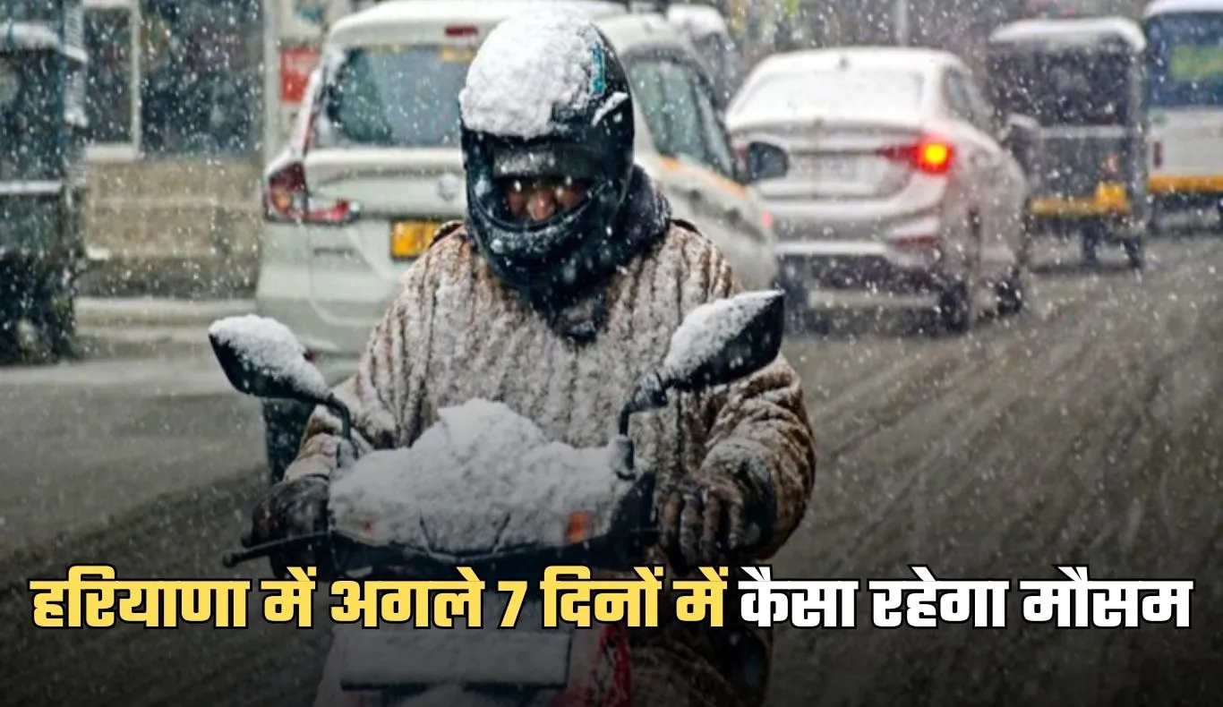 Haryana Weather: हरियाणा में अगले 7 दिनों में कैसा रहेगा मौसम, देखें पूरी वेदर रिपोर्ट 