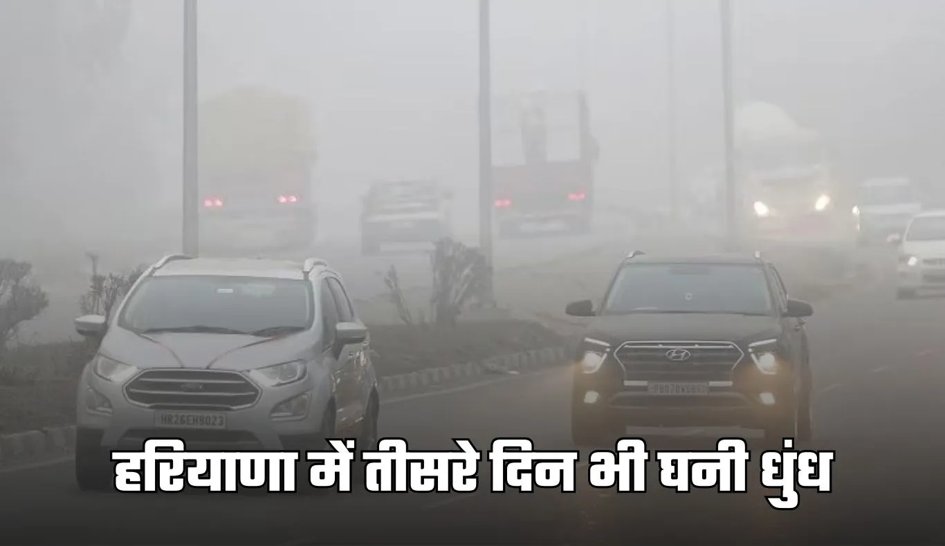 Haryana Weather: हरियाणा में तीसरे दिन भी घनी धुंध, इस दिन से बदलेगा मौसम