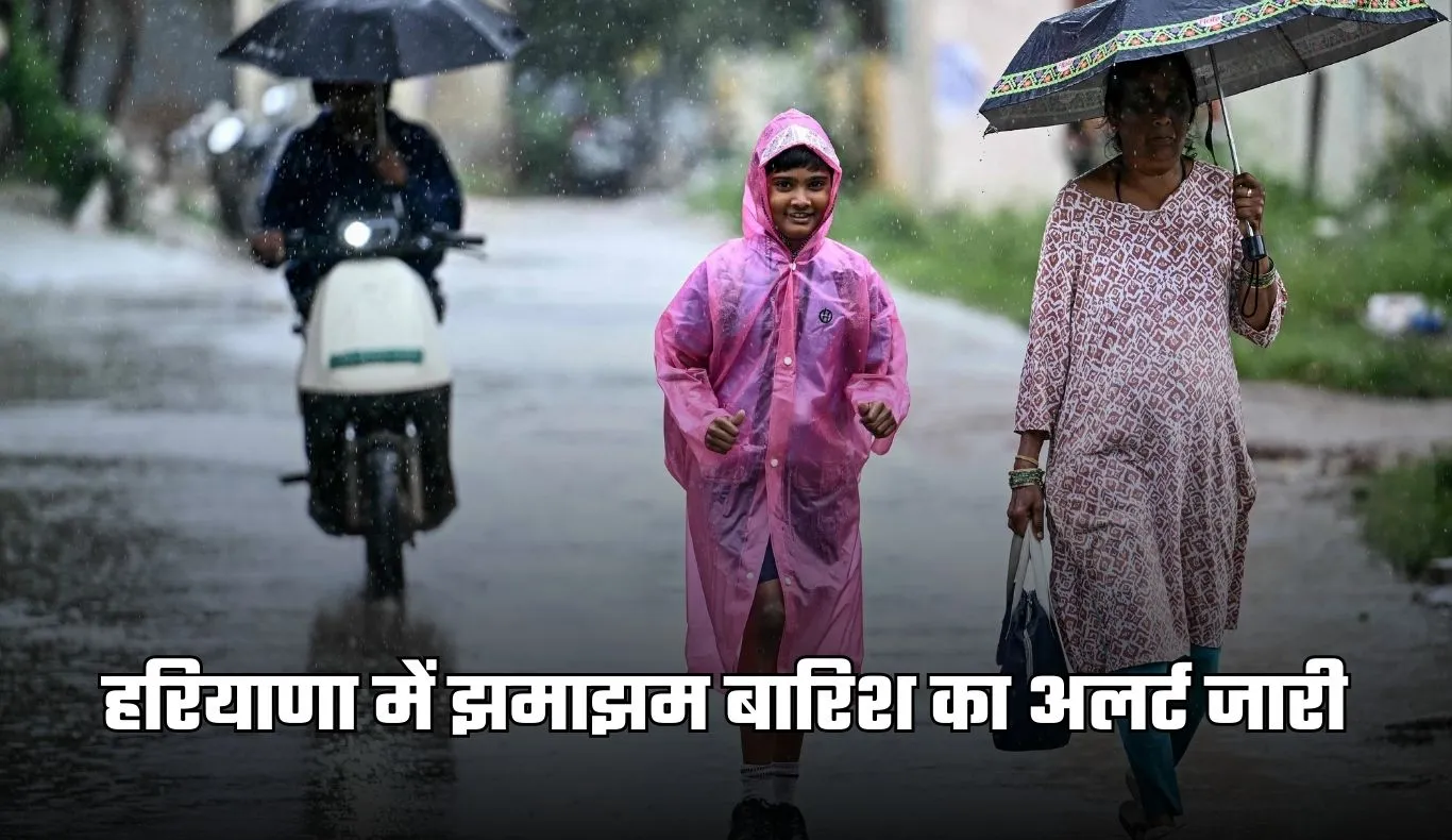 Haryana Weather: हरियाणा में झमाझम बारिश का अलर्ट जारी, जानें अगले 7 दिनों में कैसा रहेगा मौसम 