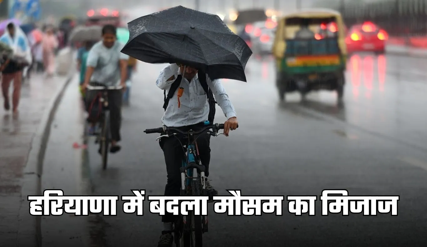 Haryana Weather: हरियाणा में बदला मौसम का मिजाज, घना कोहरा और बारिश बढ़ाएगी ठंड