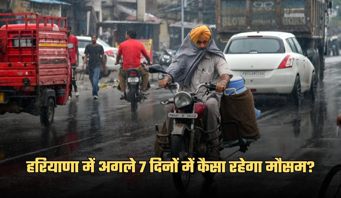Haryana Weather: हरियाणा में अगले 7 दिनों में कैसा रहेगा मौसम? देखें पूर्वानुमान 