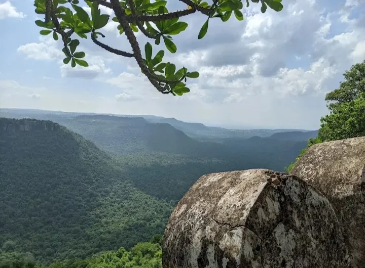 टूरिस्ट गाइड बनने का सुनहरा अवसर, 10 दिवसीय निःशुल्क प्रशिक्षण के लिए 5 जनवरी तक करें आवेदन