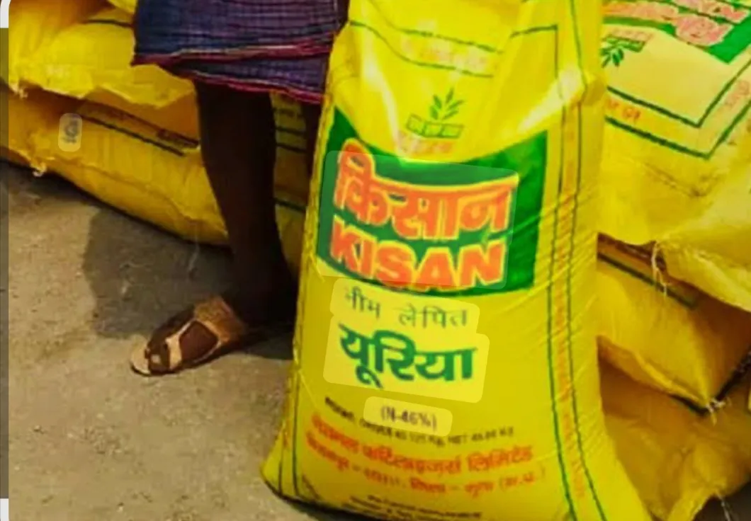 यूरिया कालाबाजारी का बड़ा खुलासा: दूसरे के नाम के लाइसेंस पर बेच रहा था खाद, 121 बोरी गायब, दो पर मुकदमा दर्ज