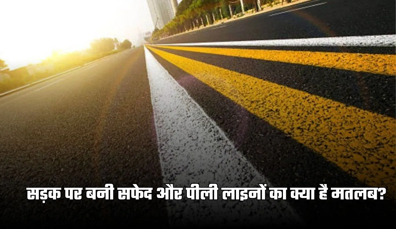 Road Markings: सड़क पर बनी सफेद और पीली लाइनों का क्या है मतलब? जानिए ड्राइविंग के जरूरी नियम