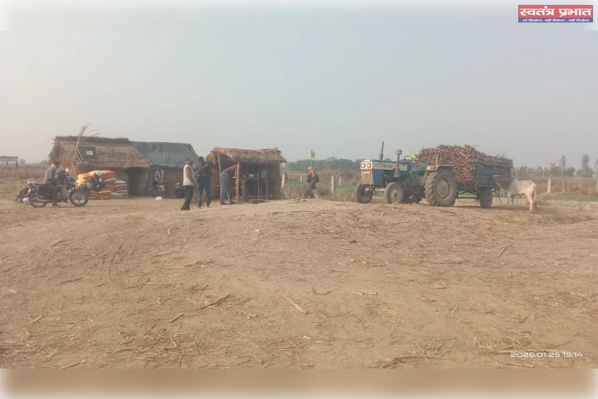 गन्ना न उठने से गेहूं की बुवाई हुआ प्रभावित, किसानों को भारी आर्थिक नुकसान