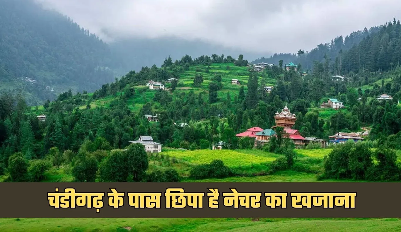 Best Tourist Place: चंडीगढ़ के पास छिपा है नेचर का खजाना, वीकेंड पर मोरनी हिल्स पहुंच रहे सैलानी