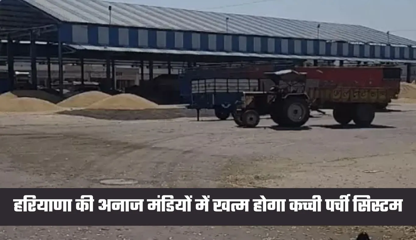 Haryana: हरियाणा की अनाज मंडियों में खत्म होगा कच्ची पर्ची सिस्टम, हाईकोर्ट ने दिए ये आदेश