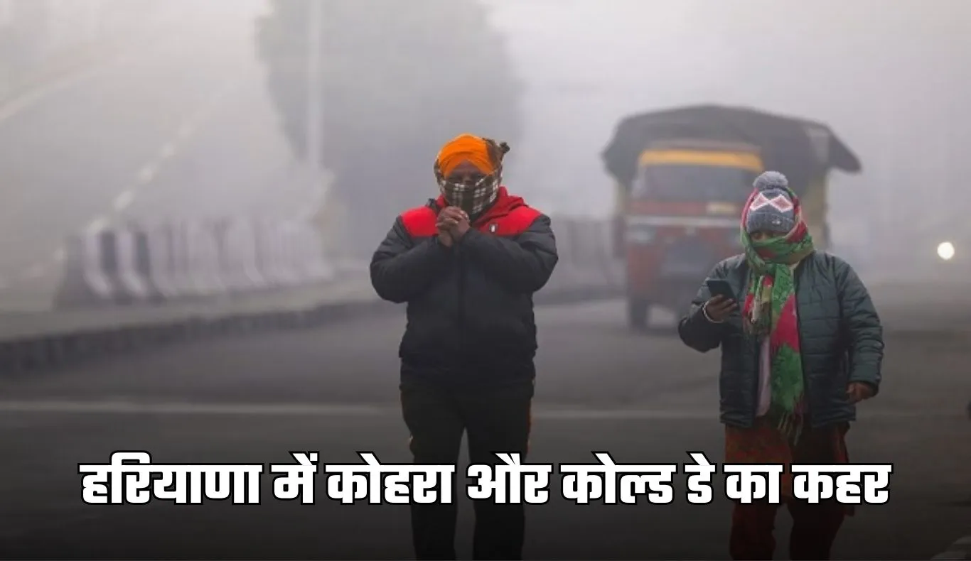 Haryana Weather: हरियाणा में कोहरा और कोल्ड डे का कहर, 12 जिलों में ऑरेंज अलर्ट